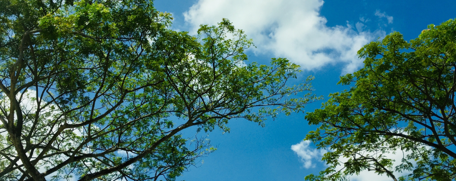 California Air Permitting: Requirements, Process, and Key Considerations